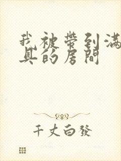 我被带到满是玩具的房间