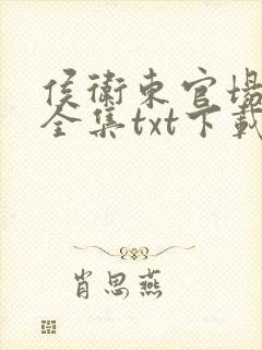 侯卫东官场笔记全集txt下载