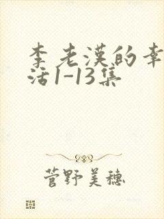 李老汉的幸福生活1-13集