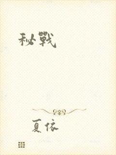 秘战