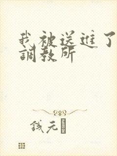 我被送进了私奴调教所