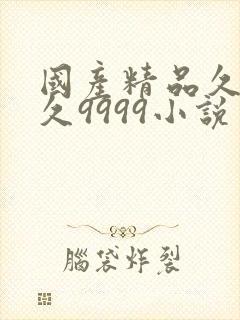 国产精品久久久久9999小说