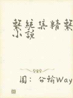 系统集精系统 小说