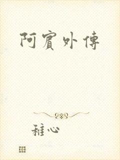 阿宾外传