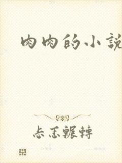 肉肉的小说