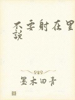 不要射在里面小说