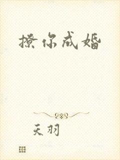 撩你成婚