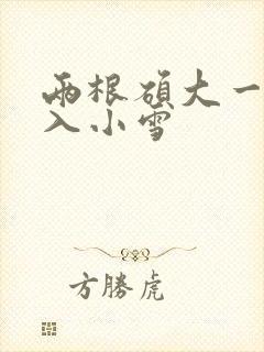 两根硕大一起挤入小雪