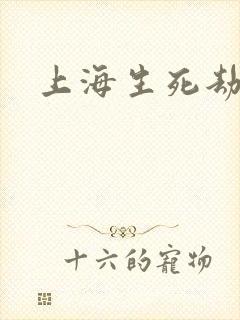 上海生死劫
