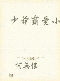 少爷霸爱小丫头