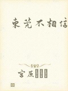 东莞不相信眼泪