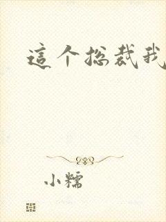 这个总裁我要了