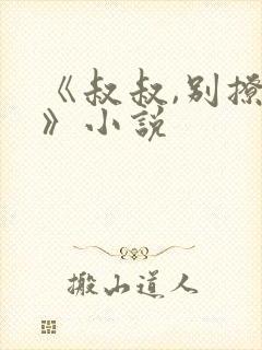 《叔叔,别撩我》小说