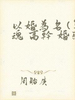 以婚为名 (军魂 高干 婚恋)