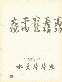 太子宠妾高肉红烧肉包讲的什么