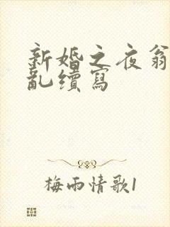新婚之夜翁莹情乱续写