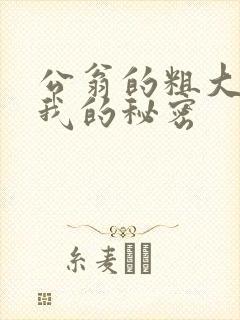 公翁的粗大放进我的秘密