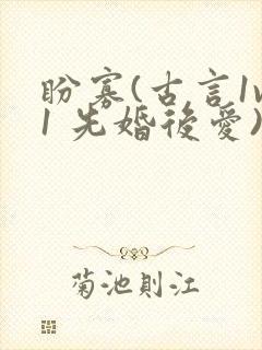 盼寡(古言1v1 先婚后爱)