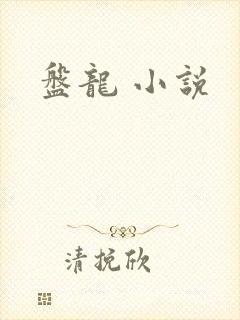盘龙 小说