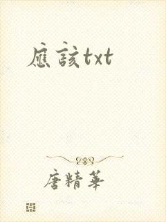 应该txt