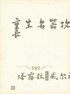重生名器攻略兄长
