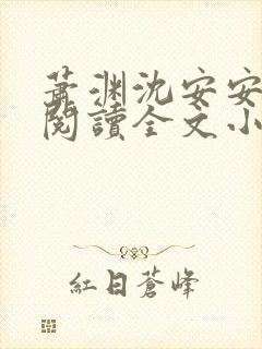 萧渊沈安安免费阅读全文小说