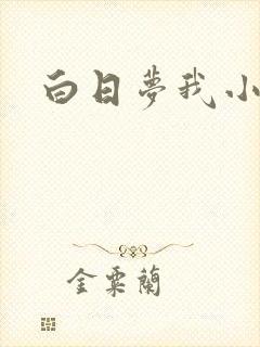 白日梦我小说