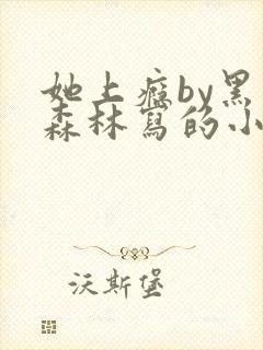 她上瘾by黑暗森林写的小说免费阅读无弹窗