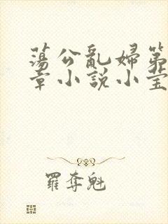 荡公乱妇第51章小说小莹