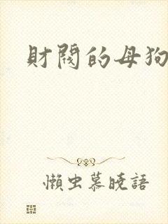 财阀的母狗们