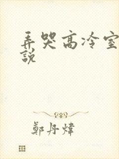 弄哭高冷室友小说