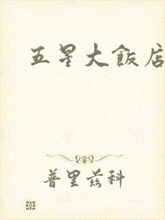 五星大饭店小说