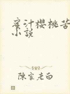 蜜汁樱桃苦咖啡小说