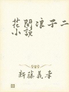 花间浪子二十部小说