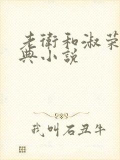 老卫和淑荣的经典小说