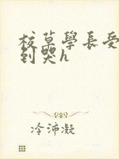 校草学长受被做到哭h