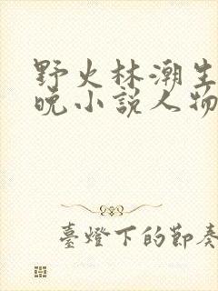 野火林潮生林晚晚小说人物野火