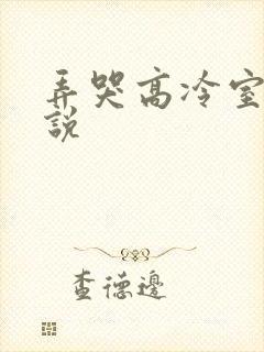 弄哭高冷室友小说