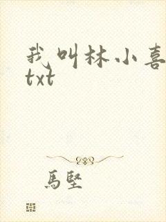 我叫林小喜小说txt