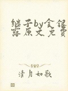 继子by金银花露原文免费阅读