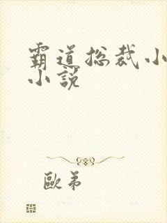 霸道总裁小娇妻小说