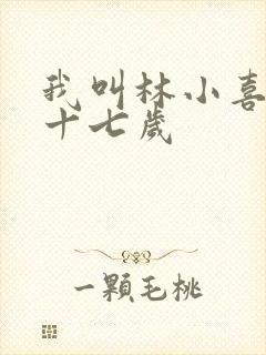 我叫林小喜今年十七岁