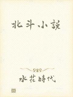 北斗小说