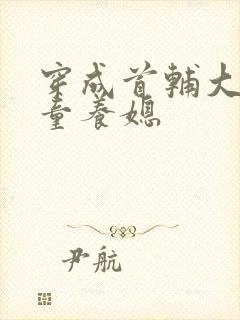 穿成首辅大人的童养媳