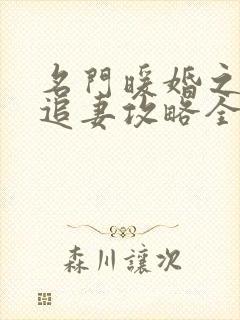 名门暖婚之权爷追妻攻略全文免费阅读