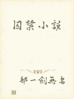 囚禁小说