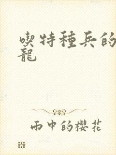 吃特种兵的大黑龙