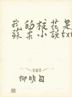 我的校花是福姬苏柔小说txt