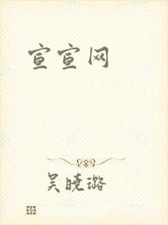 宣宣网
