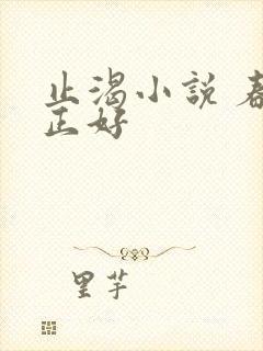 止渴小说 春光正好